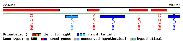 gene map
