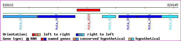gene map
