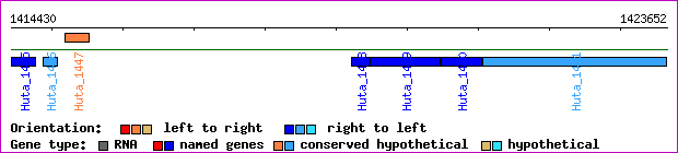 gene map