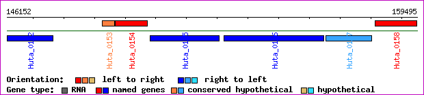 gene map