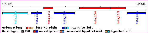 gene map