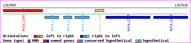 gene map