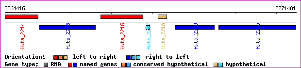 gene map
