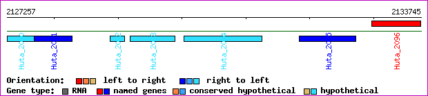 gene map