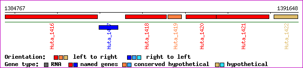 gene map