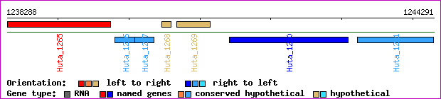gene map