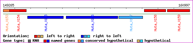 gene map