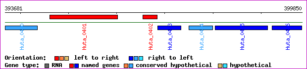 gene map
