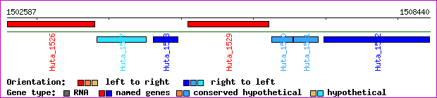 gene map