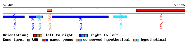 gene map