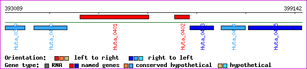 gene map
