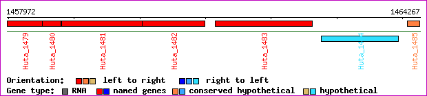 gene map