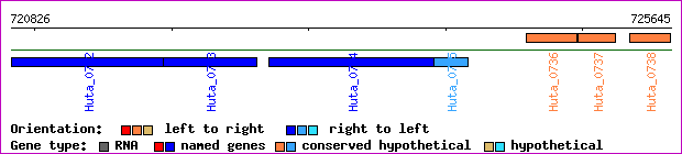gene map