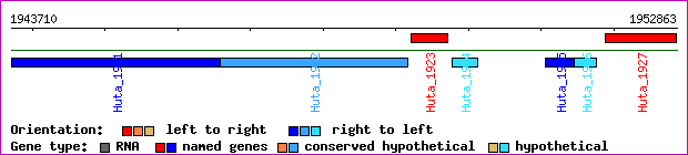 gene map
