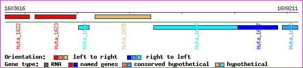 gene map