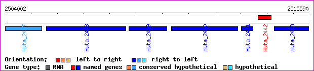 gene map