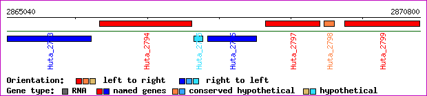 gene map