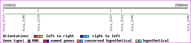 gene map