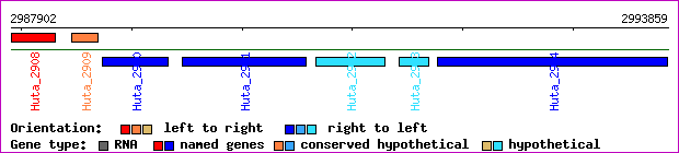 gene map