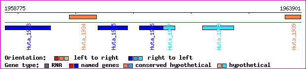 gene map