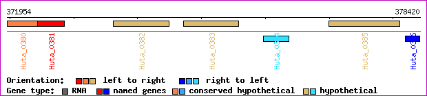gene map