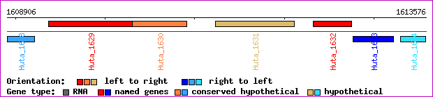 gene map