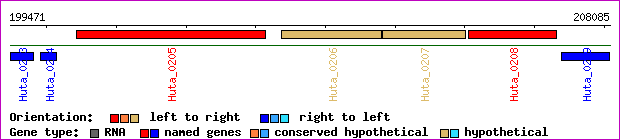 gene map