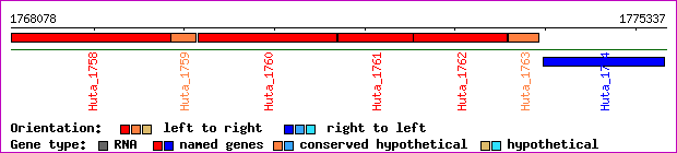 gene map