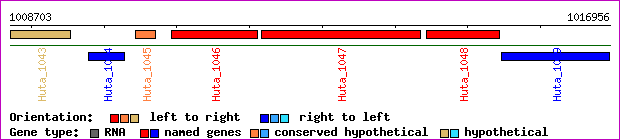 gene map