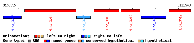 gene map