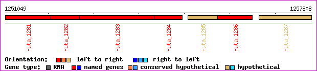 gene map