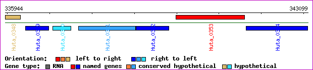 gene map
