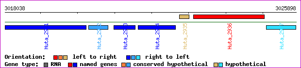 gene map
