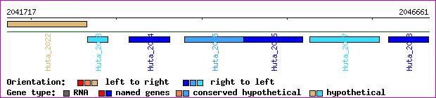 gene map