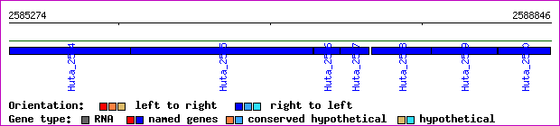 gene map