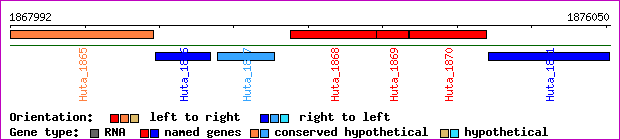 gene map