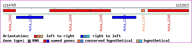 gene map
