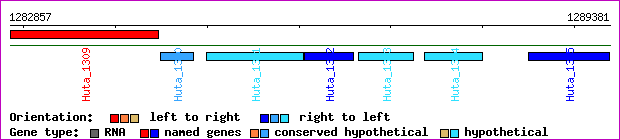 gene map