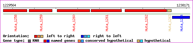 gene map