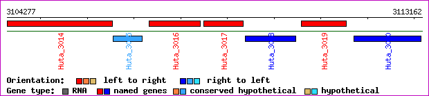 gene map