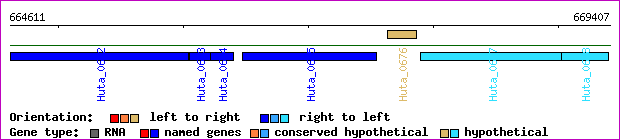 gene map