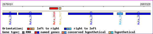 gene map