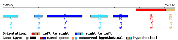 gene map