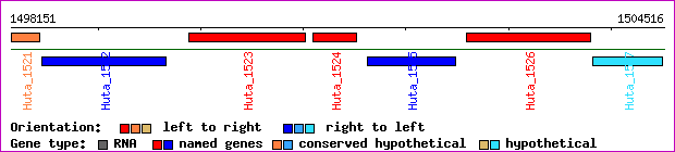 gene map