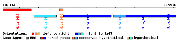 gene map