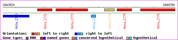 gene map