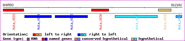gene map