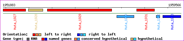 gene map