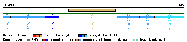 gene map