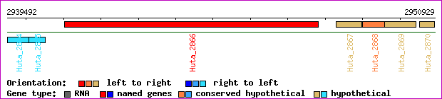 gene map